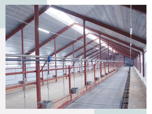 Строительство коровников в Набережных Челнах от 609 руб.