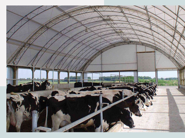 Тентовые коровники в Набережных Челнах